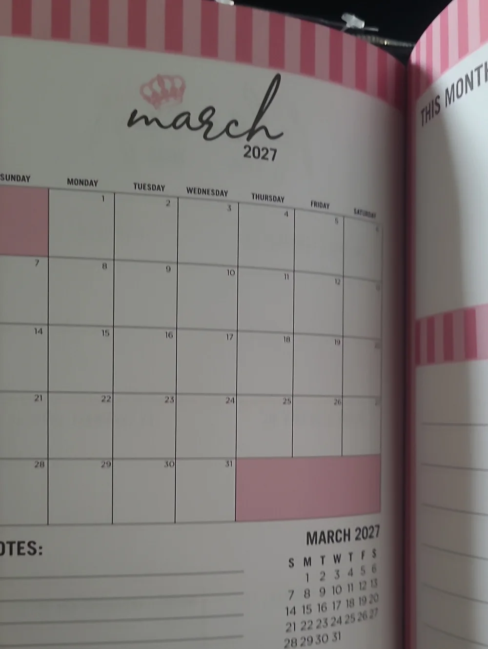 Juicy Couture Pink Keep It Juicy 18-Month Planner with Gold Pen
